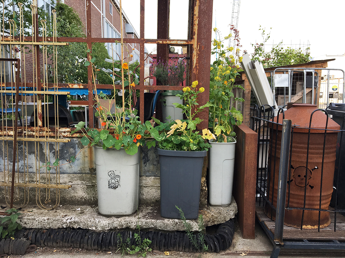 3 containres poubelles en plastique sont transformés en jardinières à Amsterdam