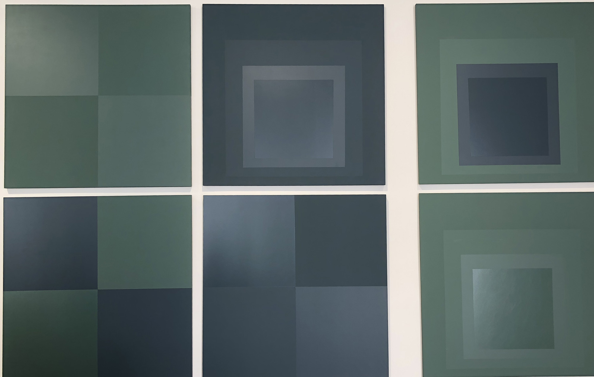 des toiles de couelurs vertee et bleue exposées comme dans une galerie d'artiste