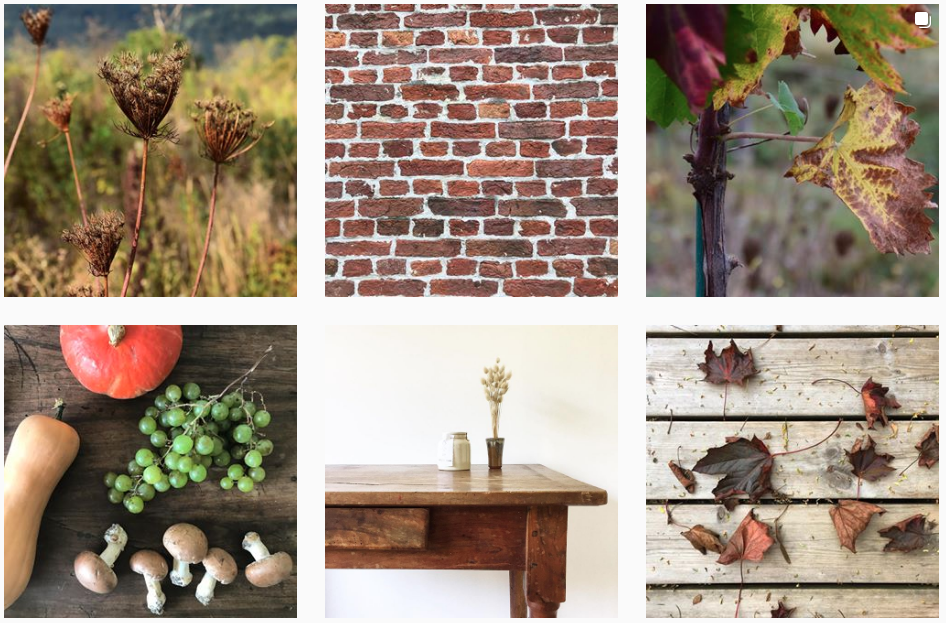 Quelque images de l'instagram slow deco @anaii_s : des feuilles d'automne séchées, des fruits et champignons cueillis, une table en bois massif, un mur de briques rouges...