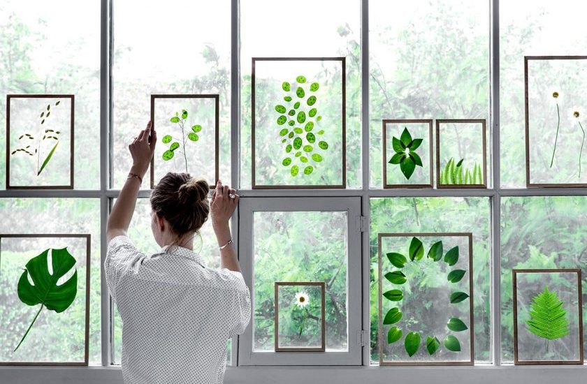 Une famme de dos positionne de jolis cadres transparents devant une fenêtre. Chaque cadre contient un végétal ou une fleur séchée