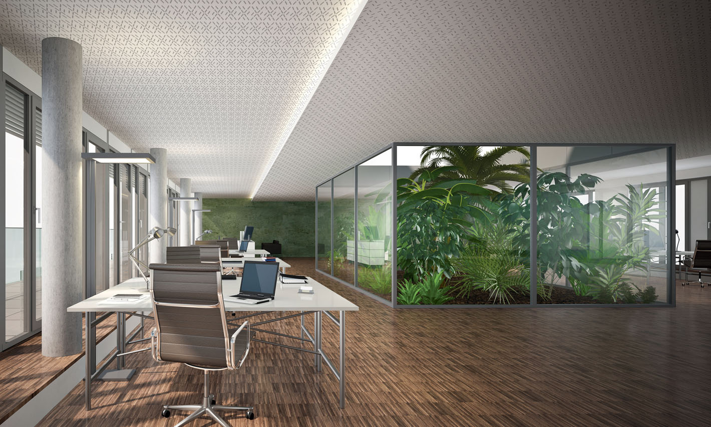 Plafond acoustique Siniat installé dans de jolis bureaux contemporains. Sol en parquet brut et patio végétalisé