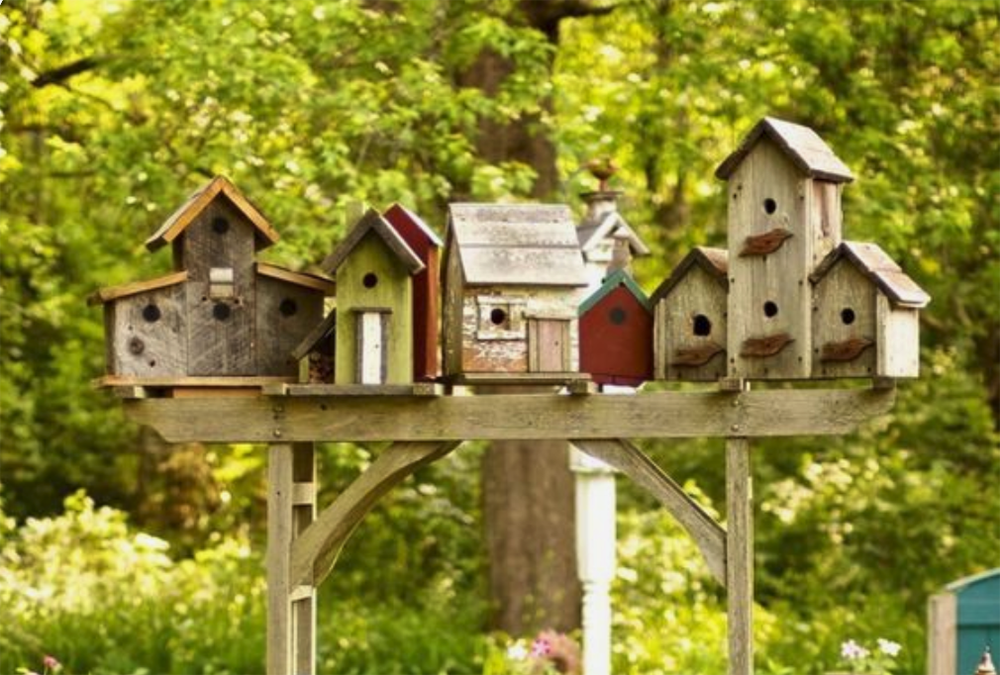 des maisons à oiseaux fixés grâce à de l'adhésif double-face