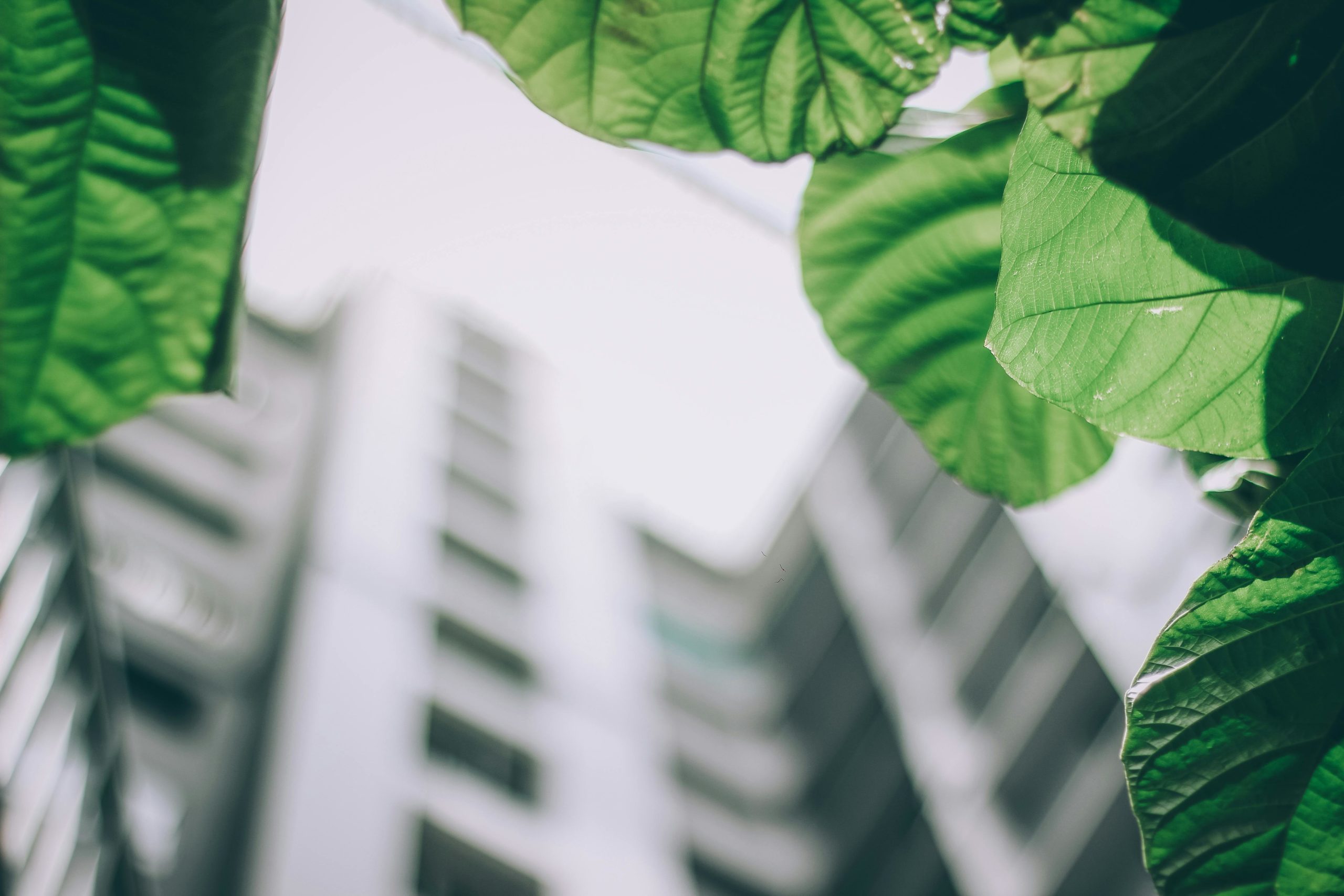 decarbonation du batiment